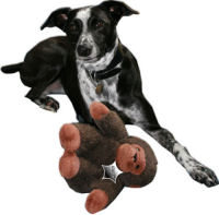 Sheriff monkey getting savaged by the hounds...