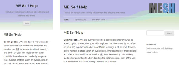MESH website, showing phone screen (left) and wide screen (right)